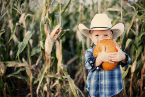 boy-with-pumpkin